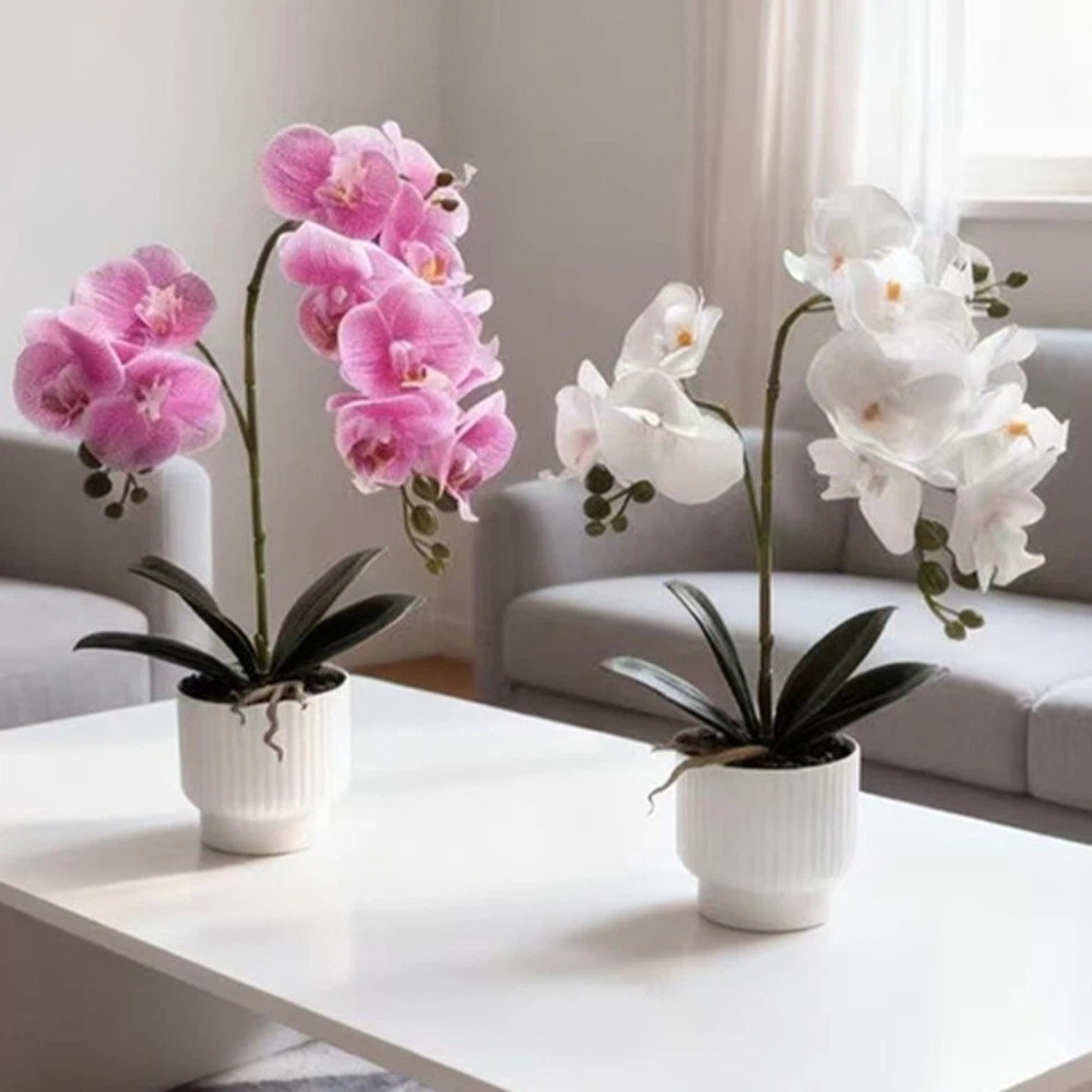 Bonsai Garden Zen - Multi-Bloom Simulated Butterfly Orchid DIY White