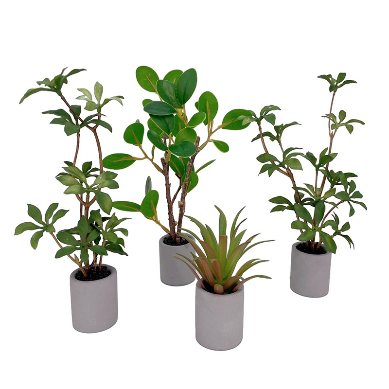 Bonsai Gardenia - 1:6 Dollhouse Miniature Potted Plant Green