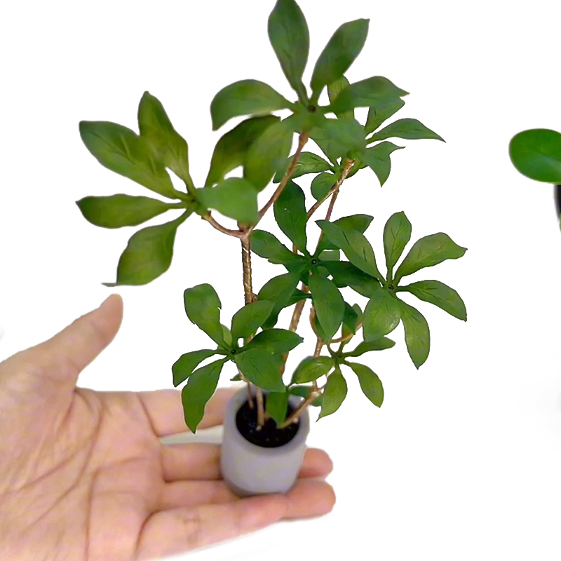 1:6 Dollhouse Miniature Potted - Bonsai Garden Miniature 评论和价格