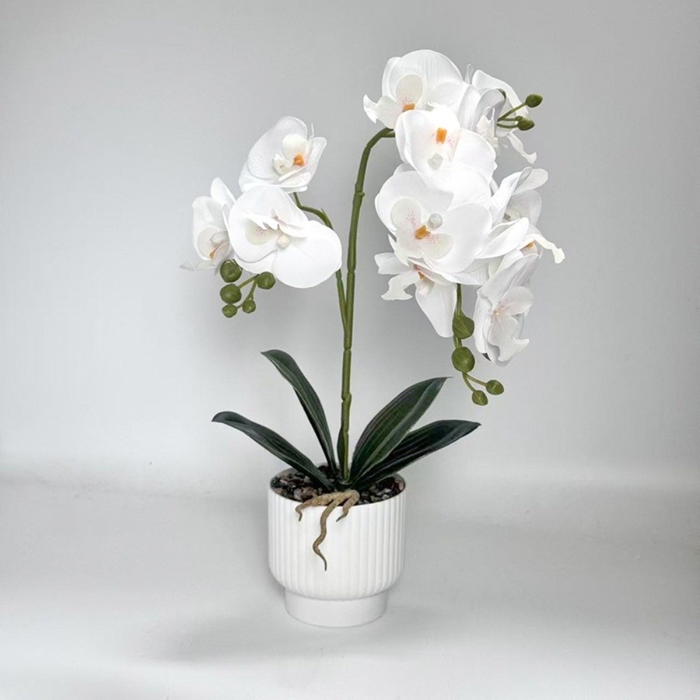 Multi-Bloom Simulated Butterfl - Bonsai Garden Zen 评论和价格