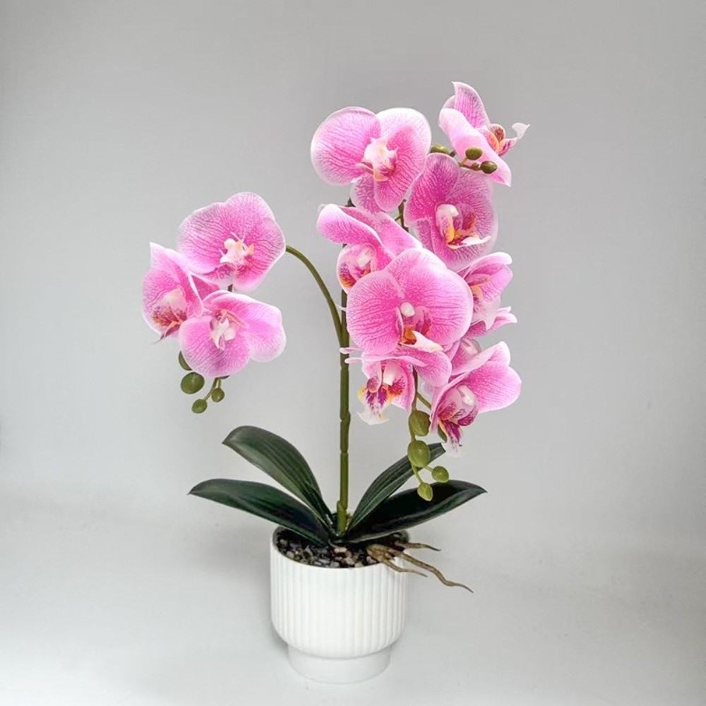 Multi-Bloom Simulated Butterfl - Bonsai Garden Zen 评论和价格
