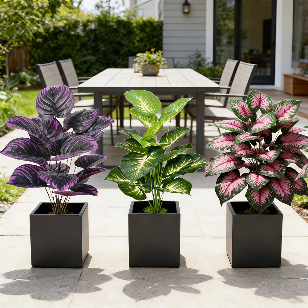 3pc Featuring Various Large-Le - Bonsai Garden Zen 评论和价格