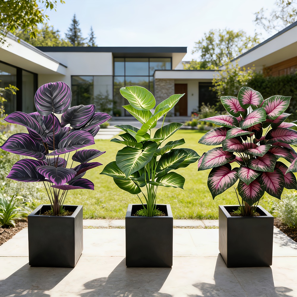 3pc Featuring Various Large-Le - Bonsai Garden Zen 评论和价格