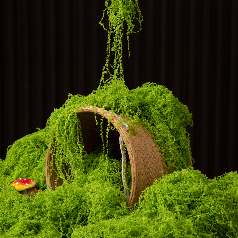200g Eternal Life Moss DIY Cra - Bonsai Garden Ideas 评论和价格