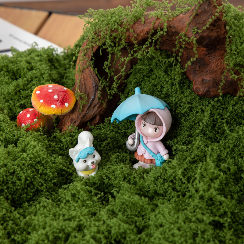 200g Eternal Life Moss DIY Cra - Bonsai Garden Ideas 评论和价格