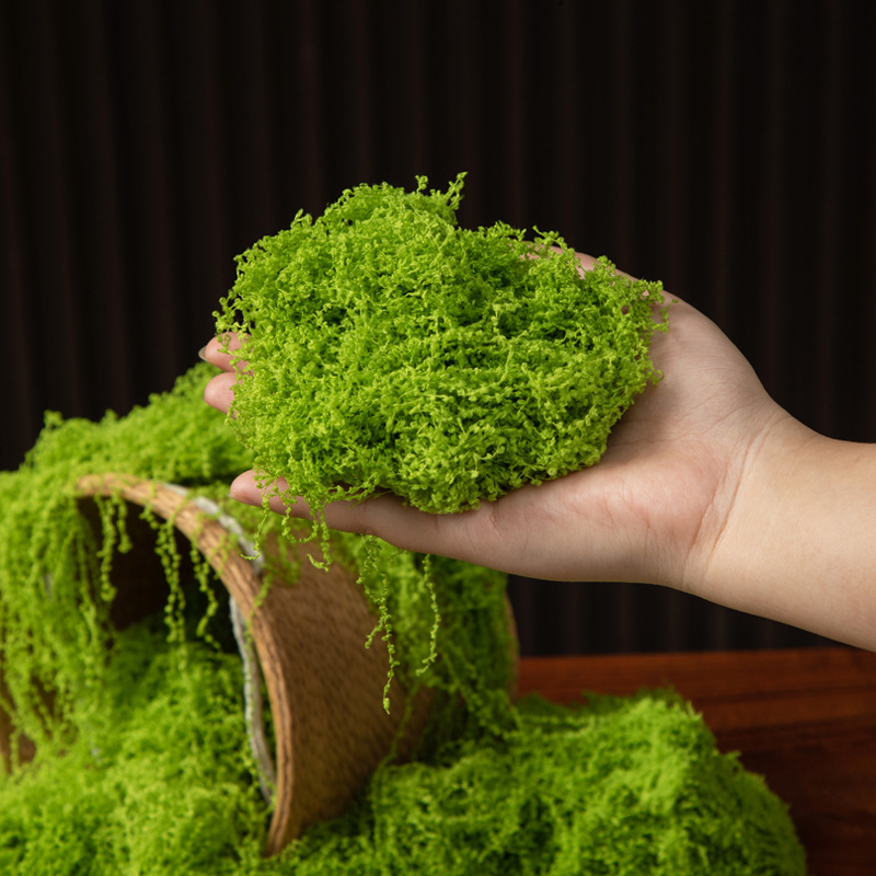 200g Eternal Life Moss DIY Cra - Bonsai Garden Ideas 评论和价格