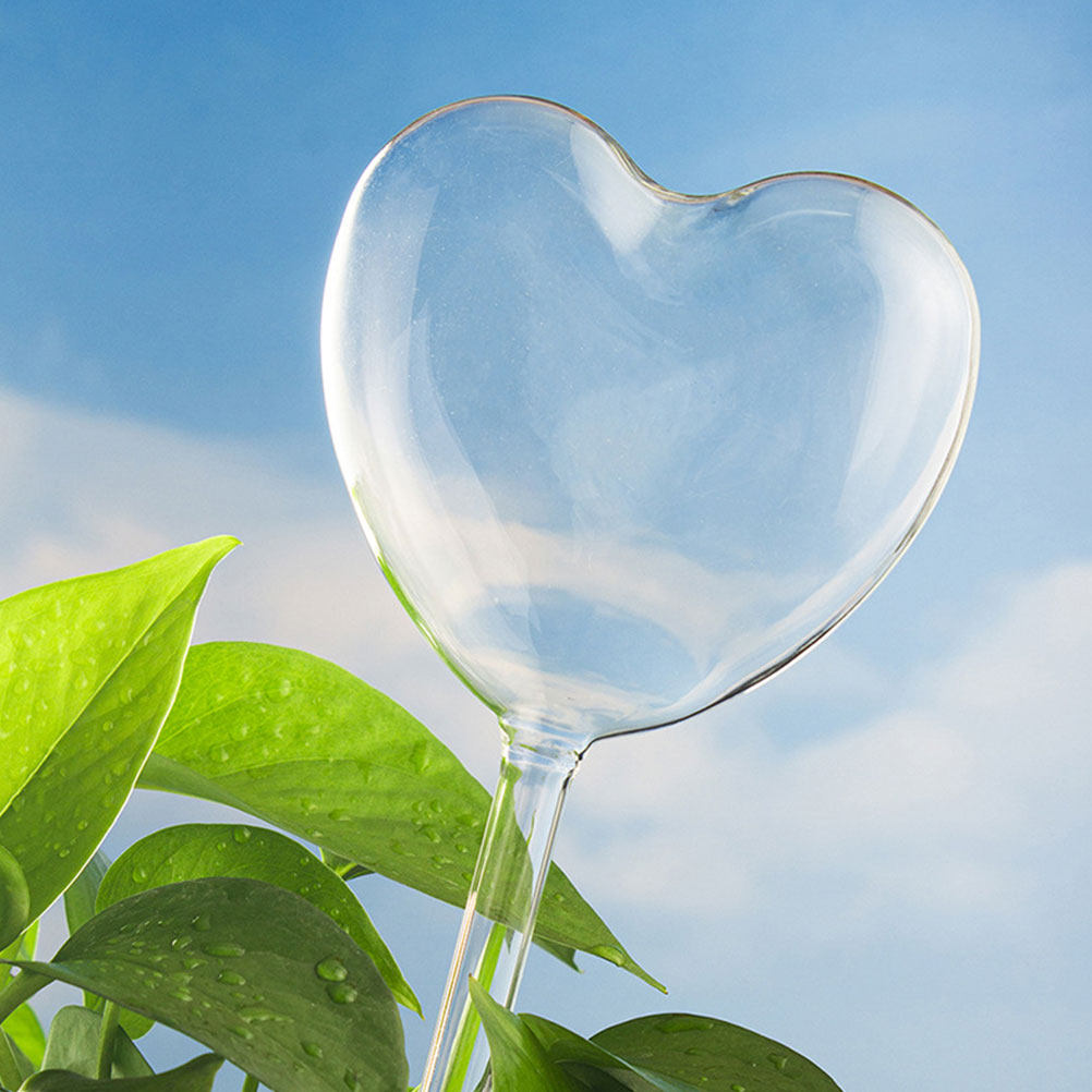3Pcs Heart Shaped Glass Self W - Bonsai Gardenia 评论和价格