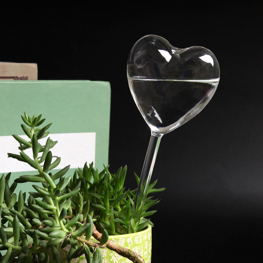 3Pcs Heart Shaped Glass Self W - Bonsai Gardenia 评论和价格