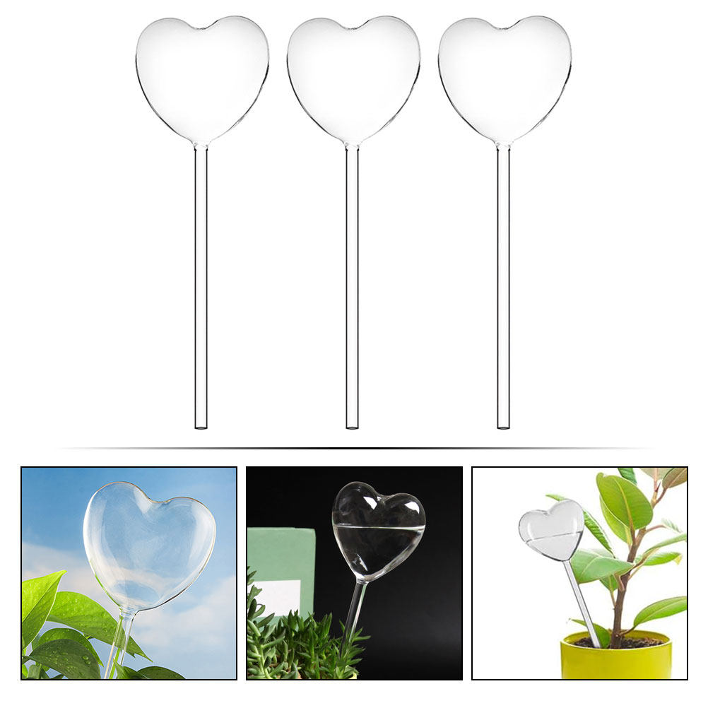 3Pcs Heart Shaped Glass Self W - Bonsai Gardenia 评论和价格