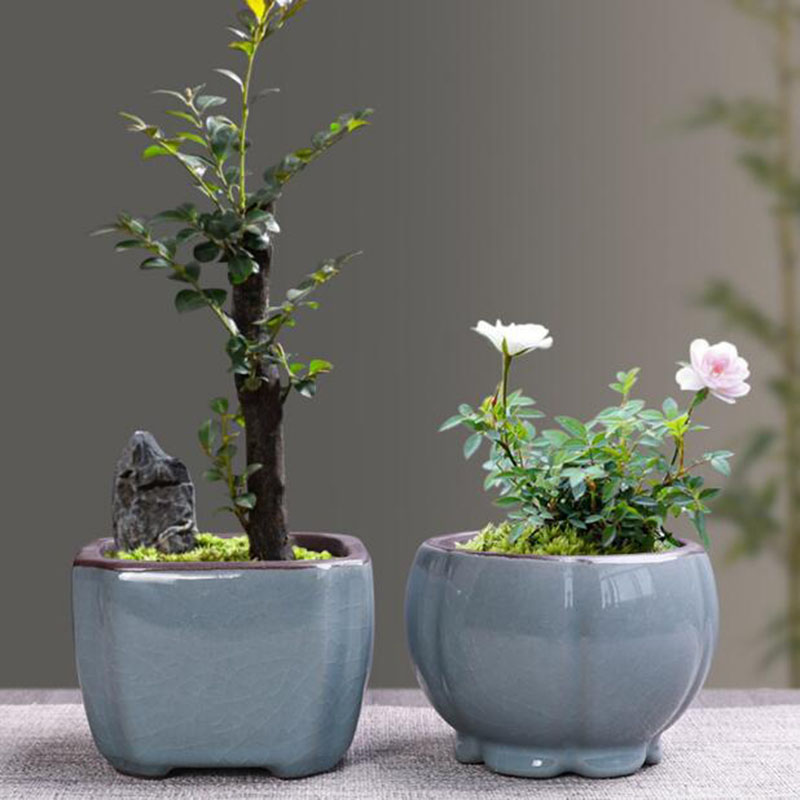 Retro Ceramic Flower Pot Aspar - Bonsai Gardenia 评论和价格