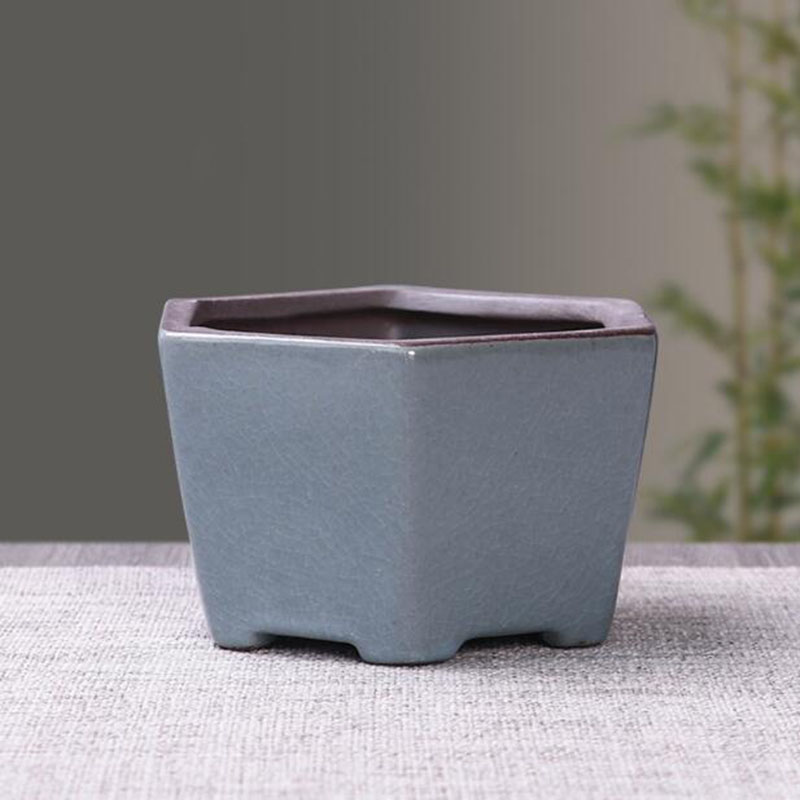 Retro Ceramic Flower Pot Aspar - Bonsai Gardenia 评论和价格