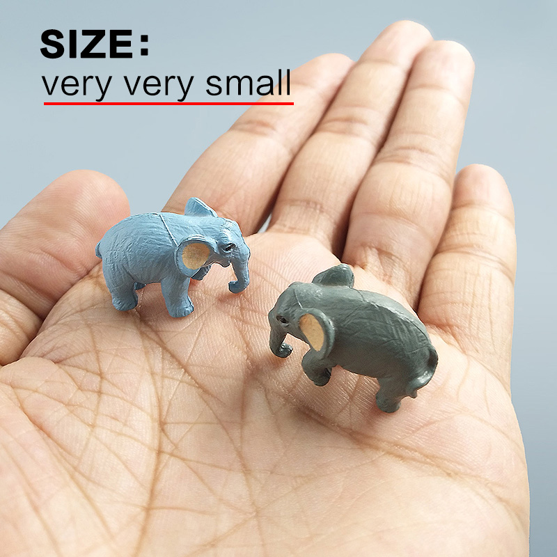 10Pcs Small Elephant Bonsai Fi - Japan Bonsai Garden 评论和价格