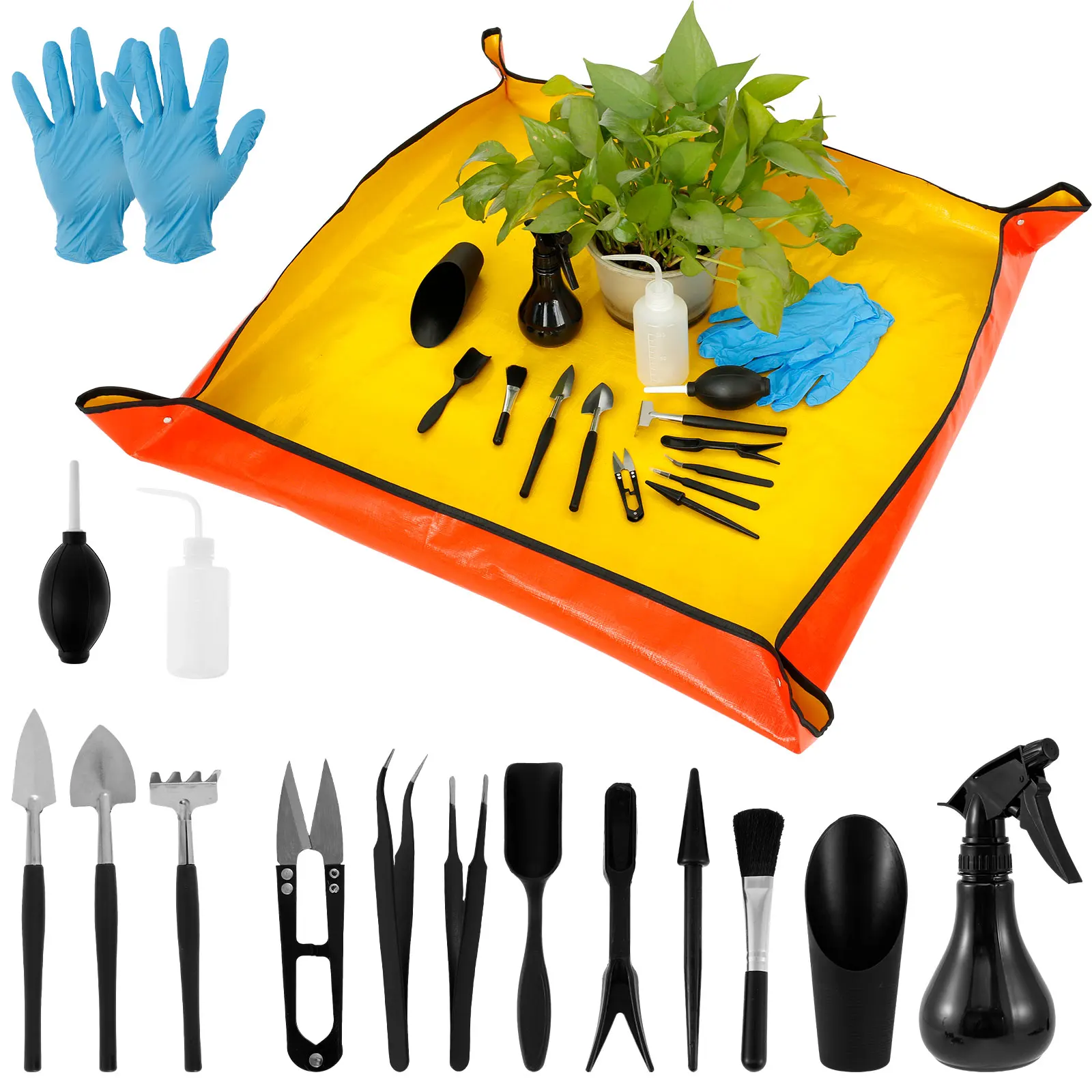 13/16Pcs Garden Succulent Plan - Bonsai Garden Miniature 评论和价格