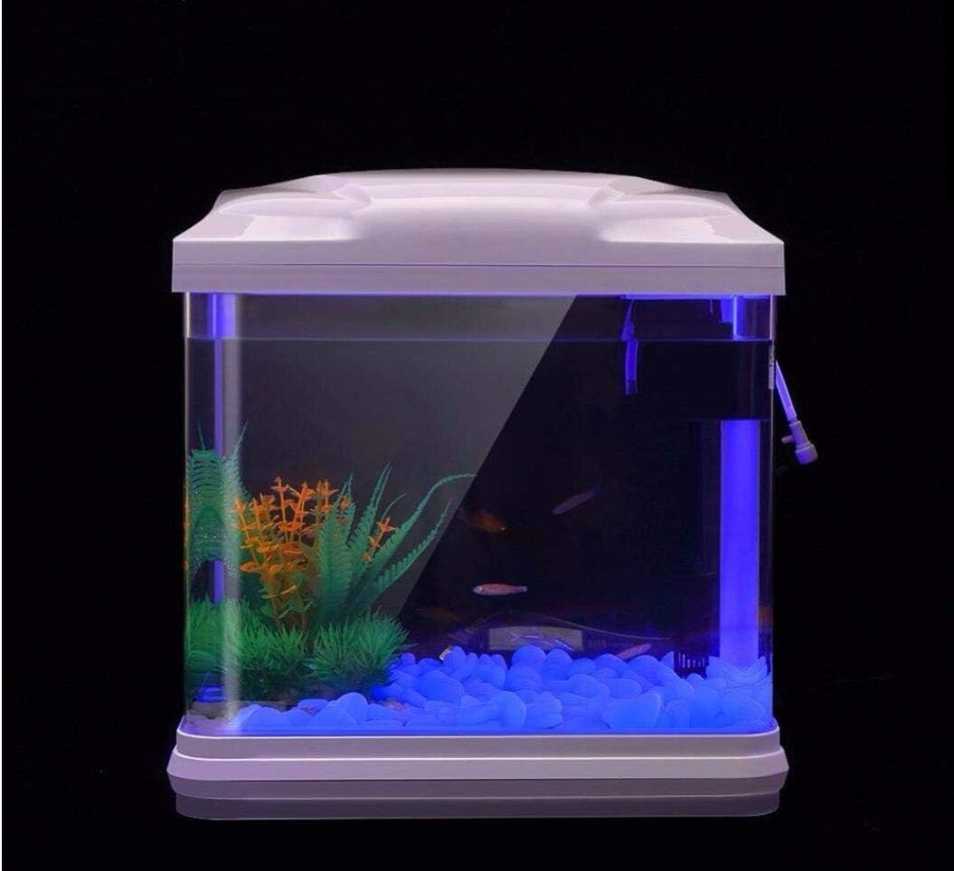 Fish Tank Rocks Glow Blue Pebb - Bonsai Gardenia 评论和价格