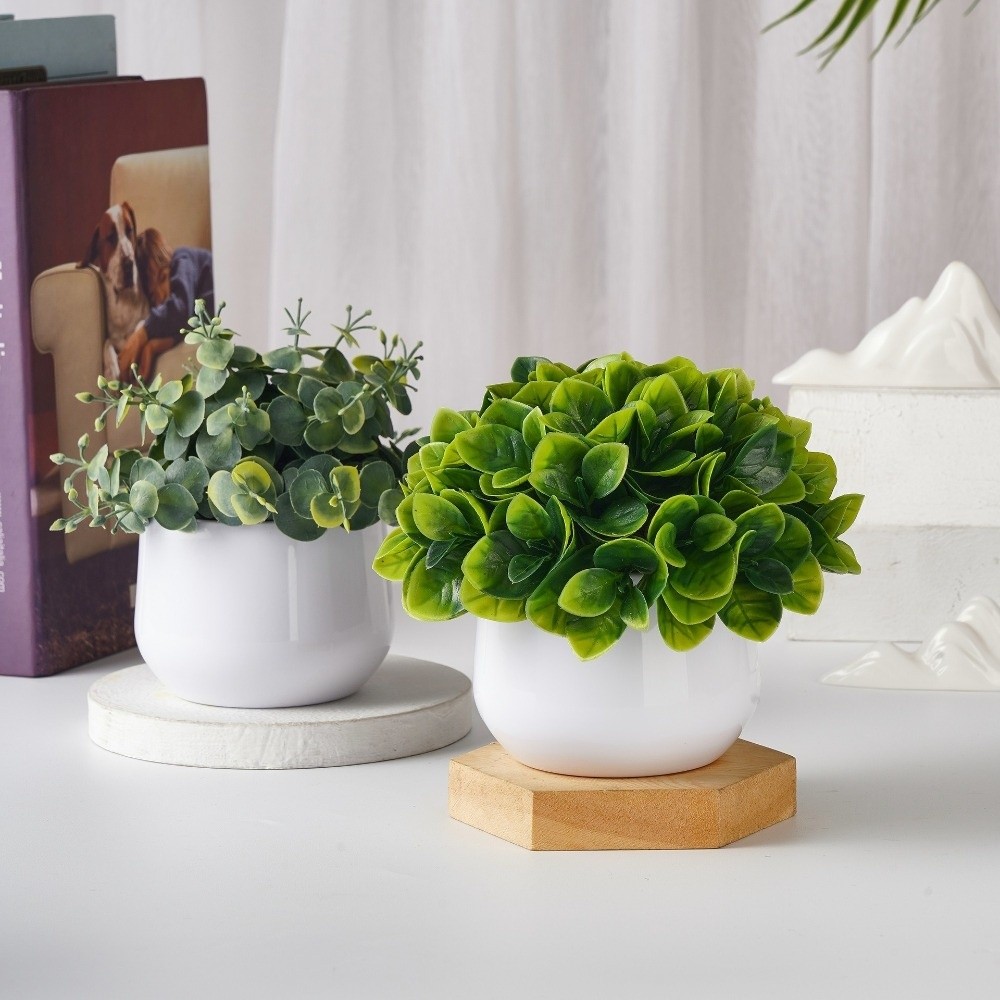 Simulation Plastic Plant Artif - Bonsai Garden Zen 评论和价格