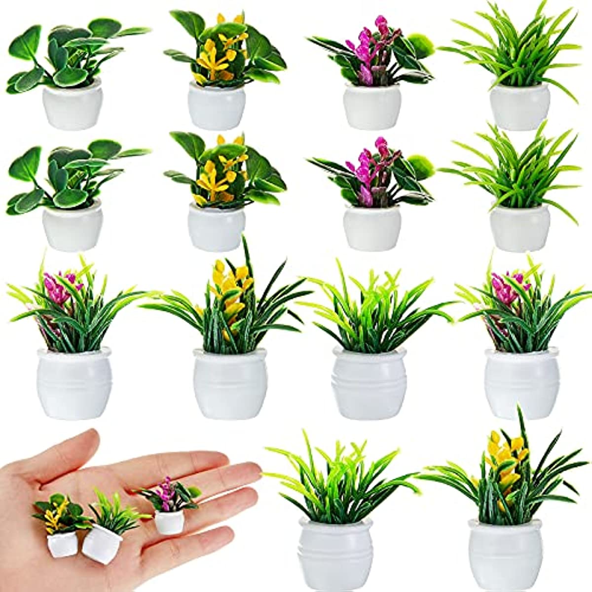 Dollhouse Plant, Miniature Bon - Bonsai Garden Zen 评论和价格