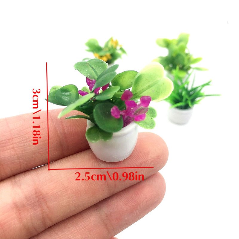 Dollhouse Plant, Miniature Bon - Bonsai Garden Zen 评论和价格