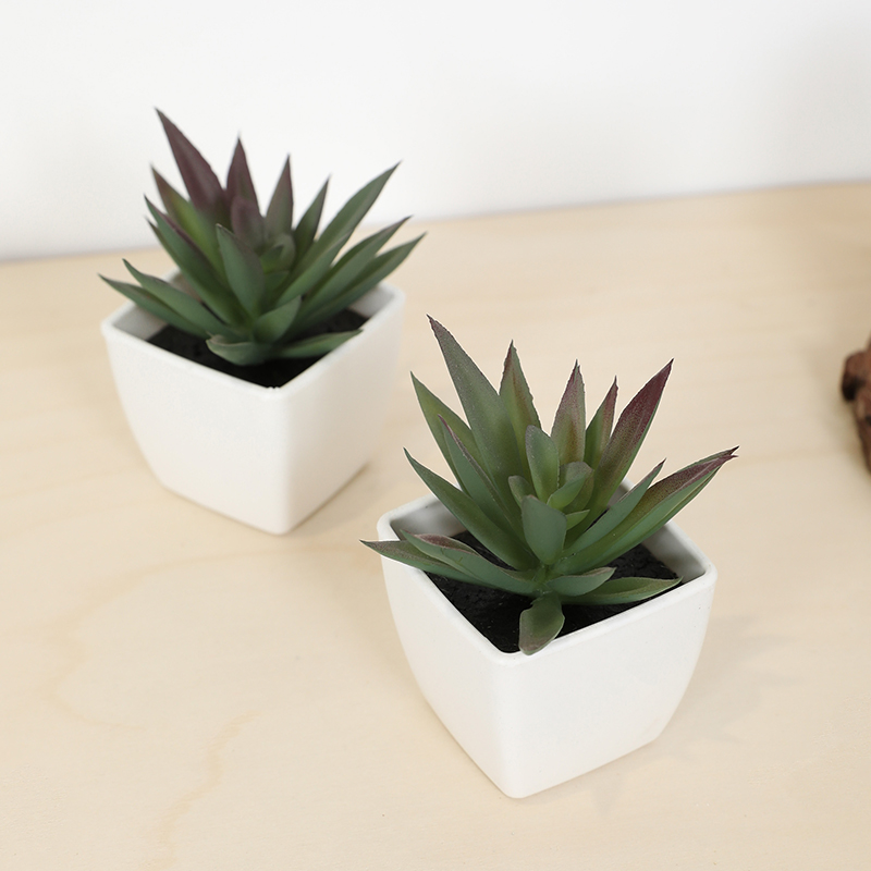 Mini Artificial Succulent Fair - Bonsai Garden Zen 评论和价格