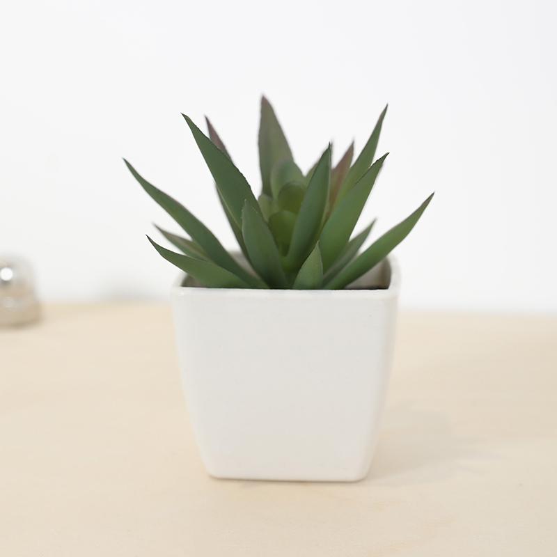 Mini Artificial Succulent Fair - Bonsai Garden Zen 评论和价格