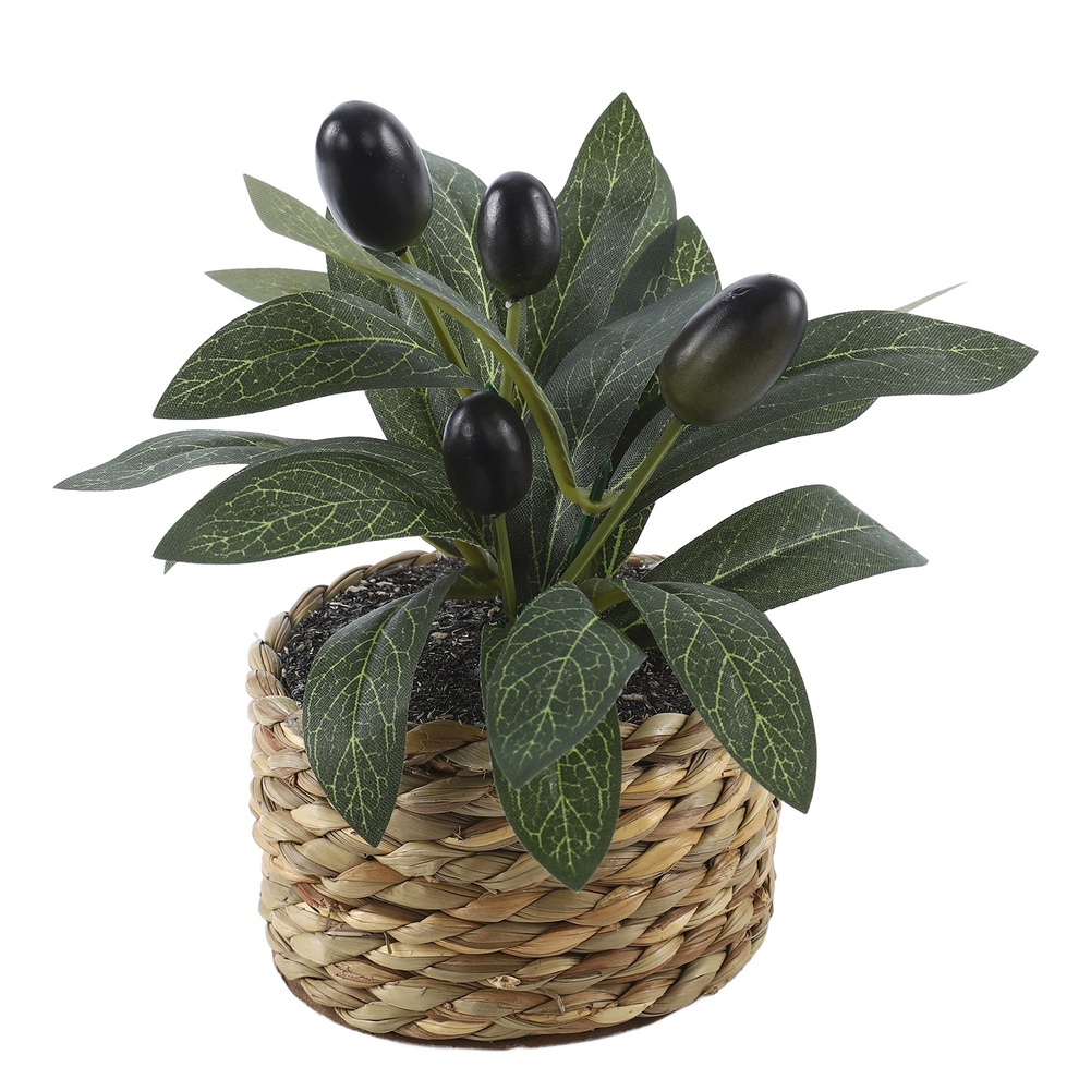 Artificial Plants Pocket Olive - Bonsai Garden Zen 评论和价格