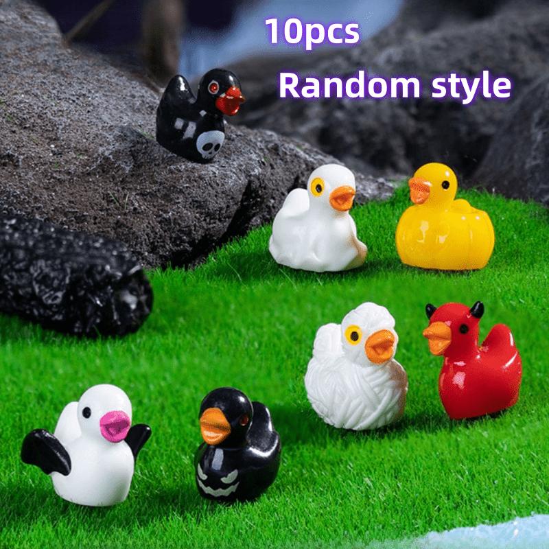10 Pieces of Miniature Duck St - Bonsai Gardenia 评论和价格
