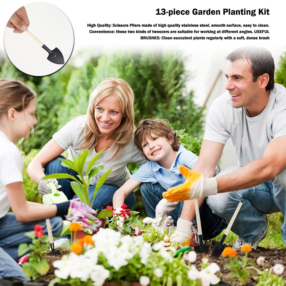 Succulent Plants Tools Mini Ga - Bonsai Garden Miniature 评论和价格