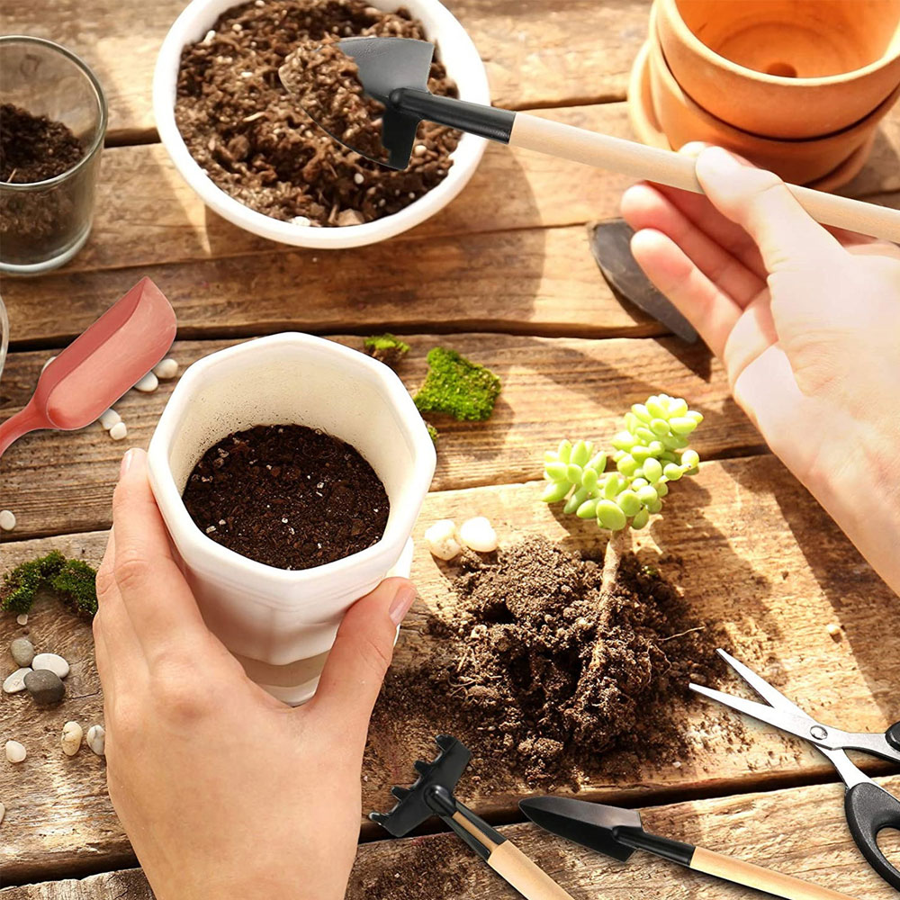 Succulent Plants Tools Mini Ga - Bonsai Garden Miniature 评论和价格