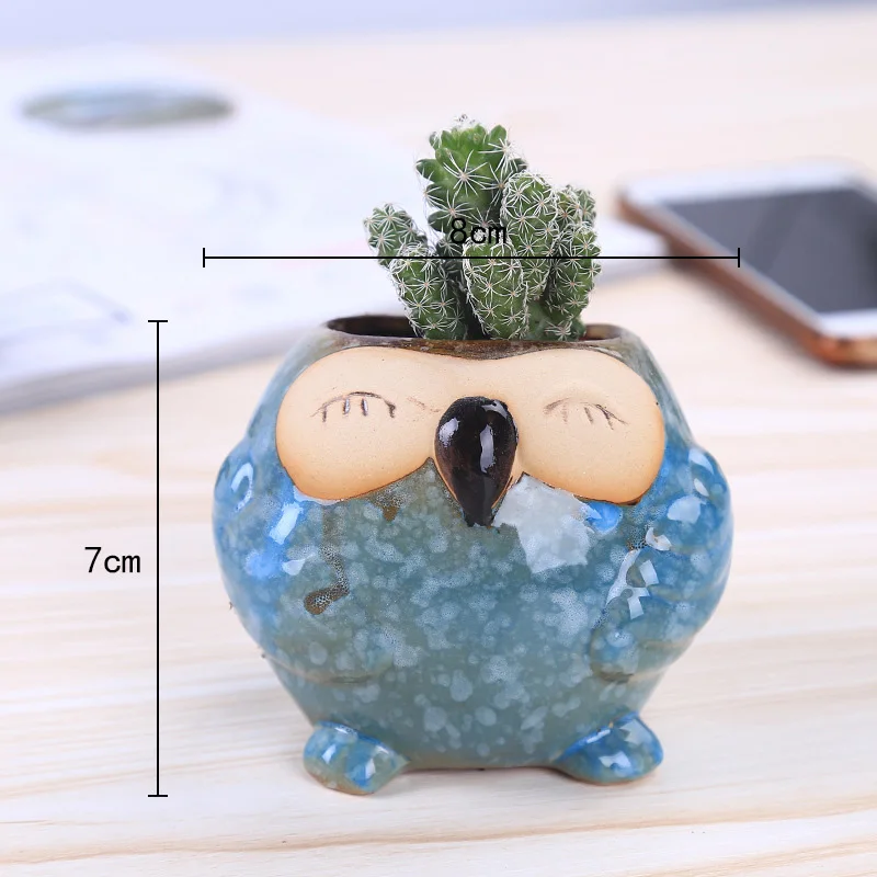 Mini Ceramic Owl Succulent Pla - Bonsai Garden Gift 评论和价格