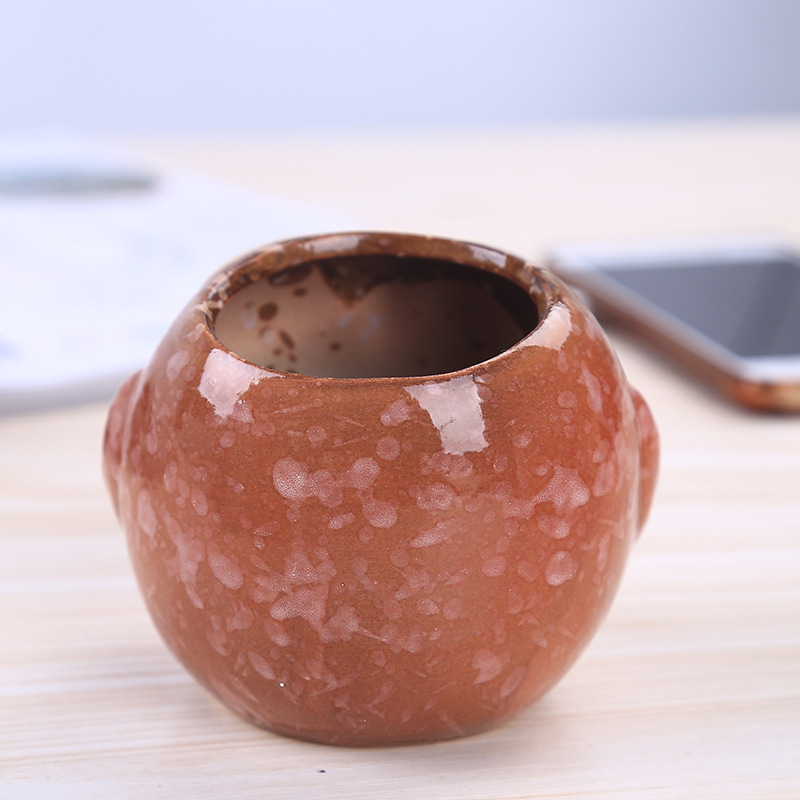 Mini Ceramic Owl Succulent Pla - Bonsai Garden Gift 评论和价格