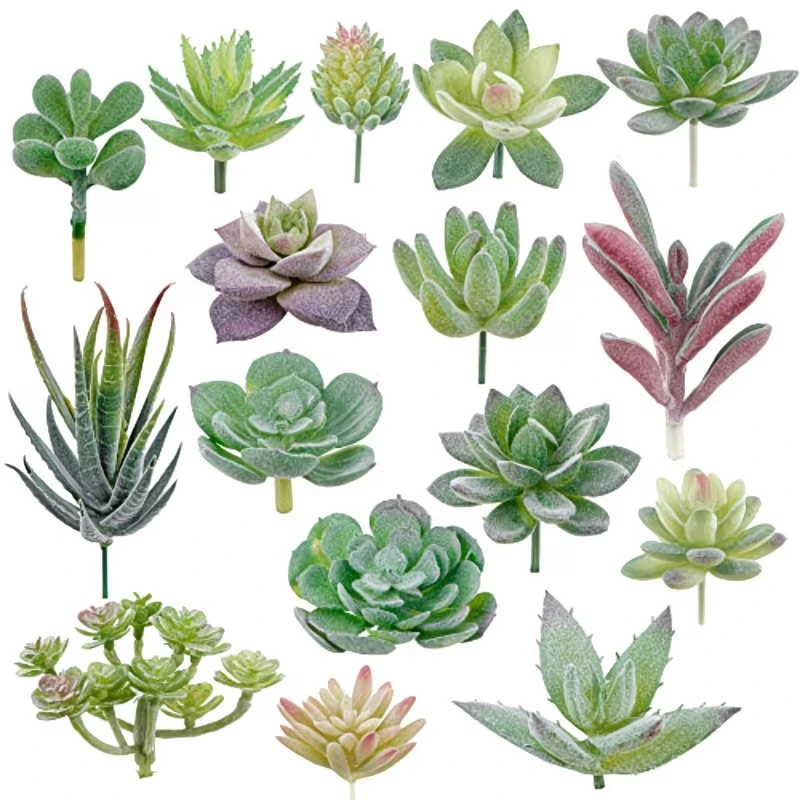 10/20Pcs PVC Succulents Plants - Bonsai Garden Ideas 评论和价格