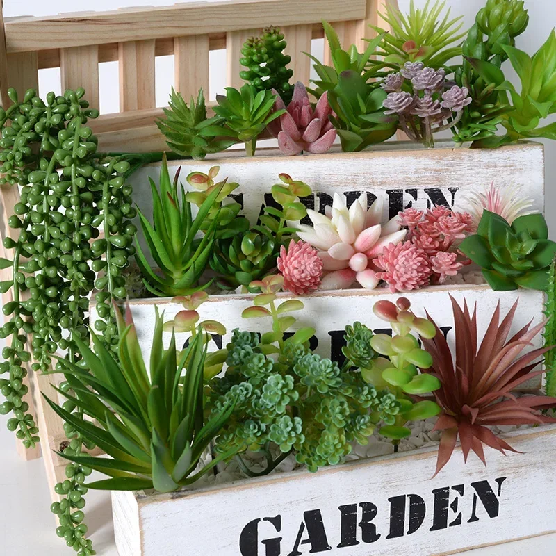 10/20Pcs PVC Succulents Plants - Bonsai Garden Ideas 评论和价格