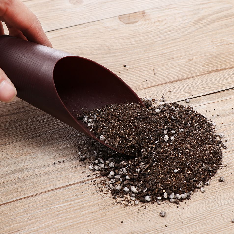 1PC Plastic Soil Shovel Cup Fo - Bonsai Gardenia 评论和价格